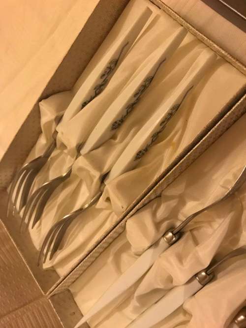 Eterite cake lifter and fork set