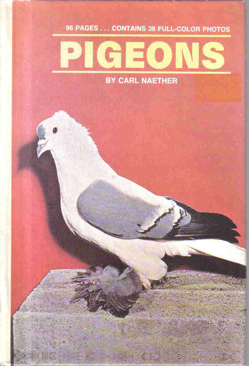Pigeons  --  Carl Naether