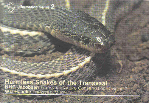 Harmless Snakes of the Transvaal  --  Dept of Health