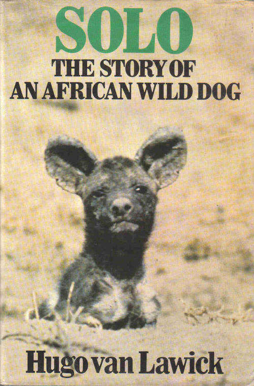 Solo - The Story of an African Wild Dog  --  Hugo van Lawick