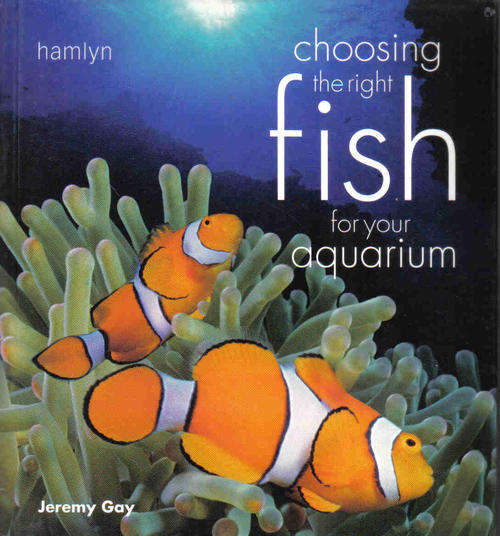 Choosing the Right Fish for your Aquarium  --  Jeremy Gay