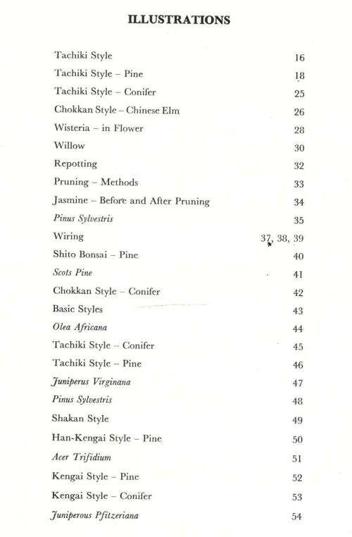 The South African Bonsai Book  --  Doug Hall and Don Black