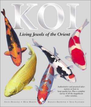 Koi   ---  Hickling Martin Brewster  Fletcher