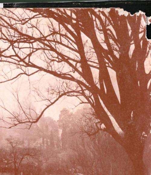 Pilgrim's Rest - Geskiedenis in Beeld