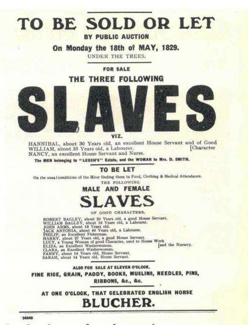 The Slave Trade  --  Josephine Kamm