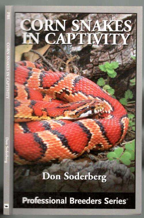 Corn Snakes in Captivity  --  Don Soderberg