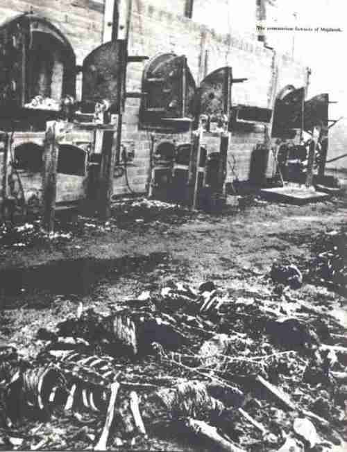 The Holocaust