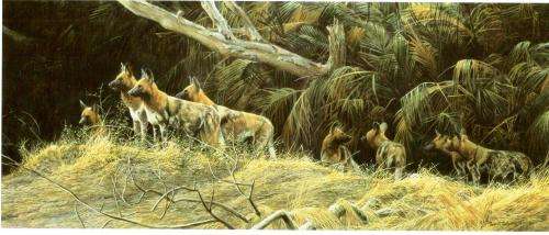 Diversities  --  Robert Bateman