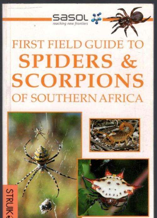 Sasol First Field Guide to Spiders and Scorpions of Southern Africa