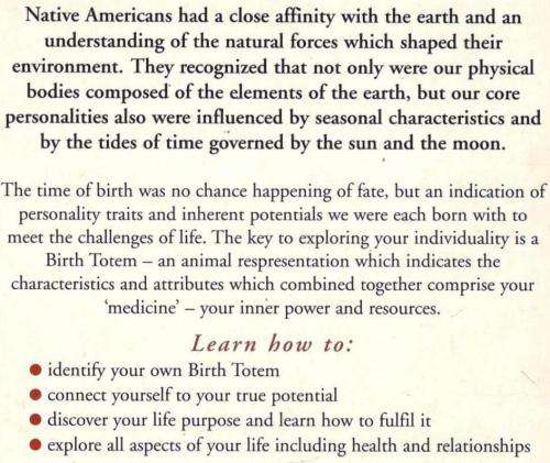 Earth Medicine - Kenneth Meadows - Native American Medicine Wheel