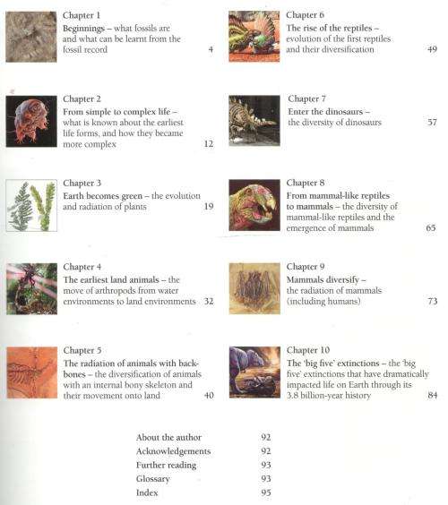 Fossils for Africa  -  Anusuya Chinsamy-Turan