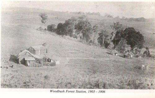 Between Woodbush and Wolkberg  -  Brigitte Wongtschowski