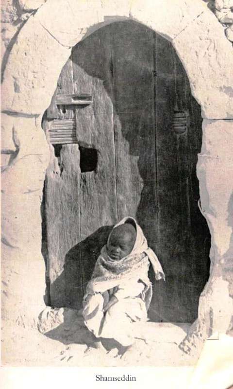 A Grave For A Dolphin    ---     Alberto Denti di Pirajno