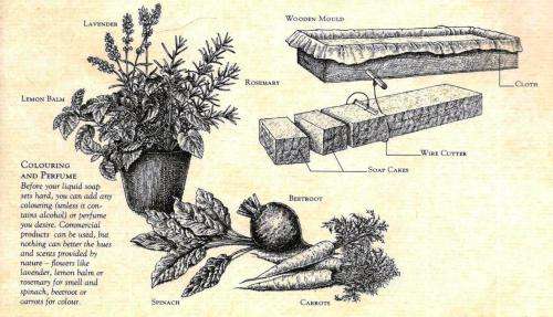 Forgotten Skills  --  A Practical Guide to Traditional Skills  -- John Seymour