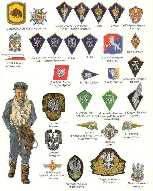 The Allied Forces in Italy  1943 - 45    --   Guido Rosignoli