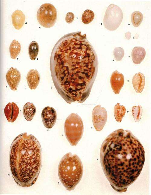 The Living Shores of Southern Africa  --  Margo and George Branch - Anthony Bannister
