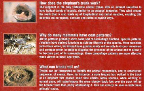 Beat About the Bush  --  Mammals  --  Trevor Carnby