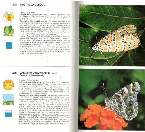 The Macdonald Encyclopedia of  Butterflies and Moths