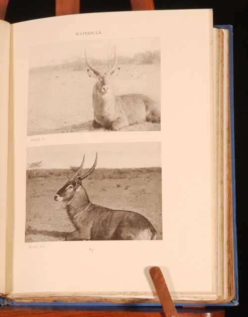 Wild African Animals I have known  --  Prince William  of Sweden  - 1923