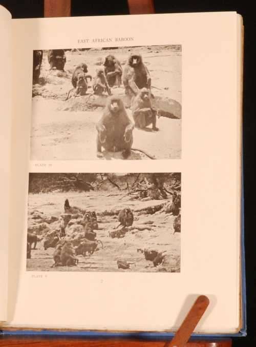 Wild African Animals I have known  --  Prince William  of Sweden  - 1923