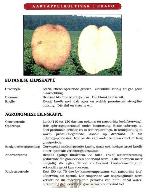 Handleiding vir Artappelvebouing in Suid-Afrika  --  Redakteur : P J Steyn