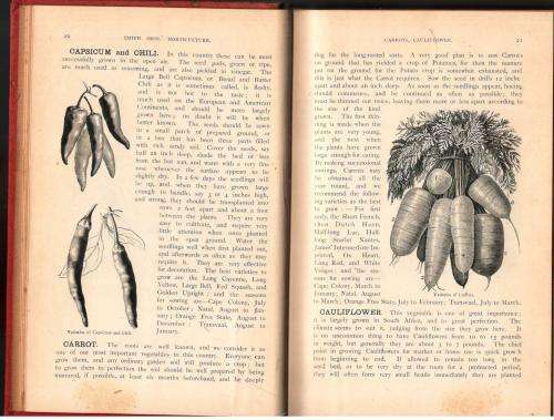 Horticulture --  A Guide for the Garden  --  Smith Bros.  --  Circa 1880