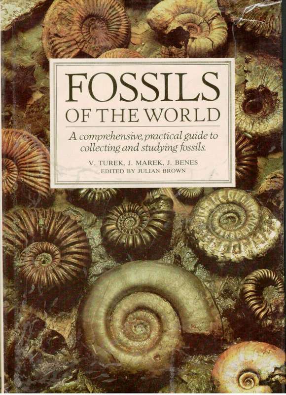 Fossils of the World