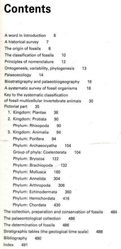 Fossils of the World