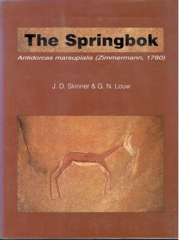 The Springbok  Antidorcas marsupialis --  J D Skinner and G N Louw