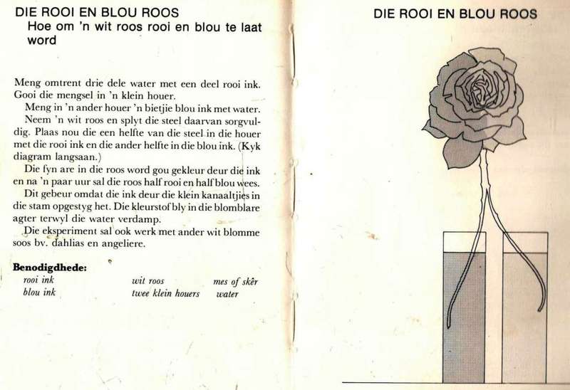 Eksperimente in en om die Huis  --  Kevin Goldstein-Jackson