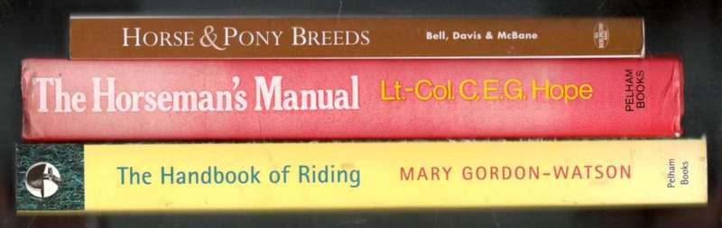 3 Books About Horses and Riding