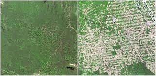 Earth Then and Now - Potent Visual Evidence of Our Changing World - Fred Pearce