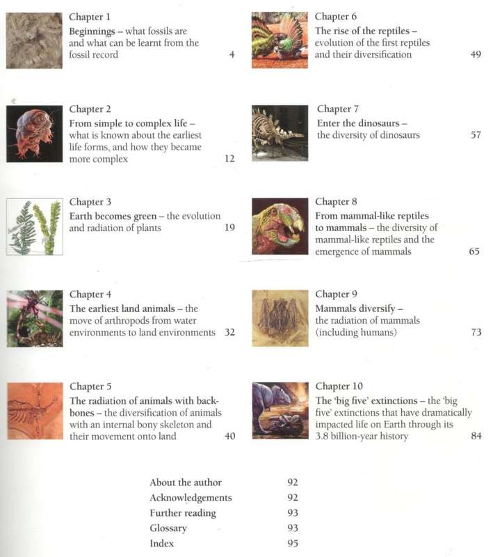 Fossils for Africa  --  Anusuya Chinsamy-Turan