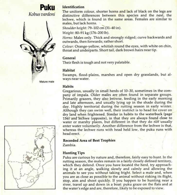Hunting on Safari in East and Southern Africa  --  Aubrey Wynne-Jones