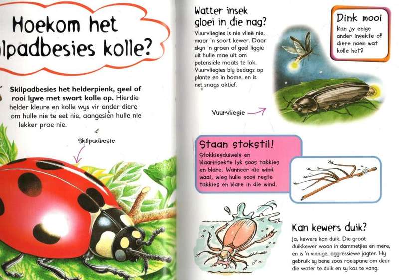 My Eerste Vraag- en Antwoordboek