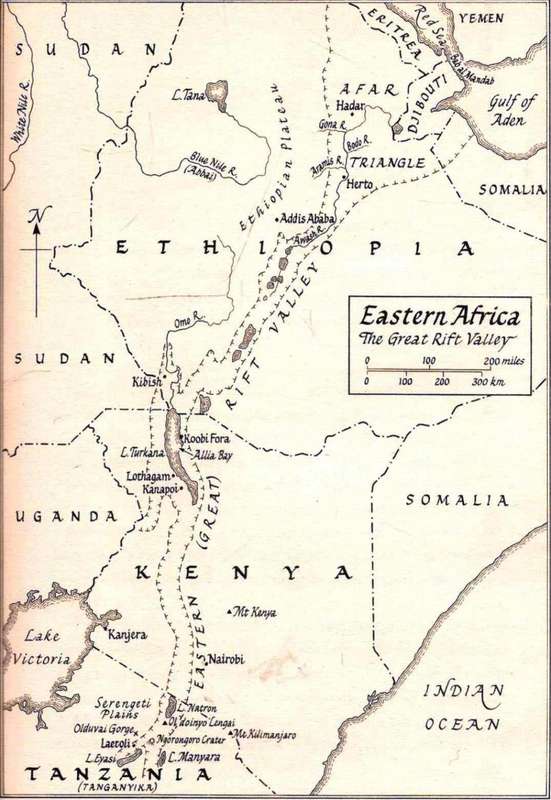 Born in Africa  --  TheQuest for the Origins of Human Life  --  Martin Meredith