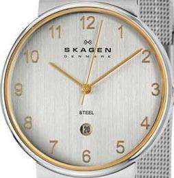 SKAGEN Denmark Two Tone Mesh Band Mens Watch