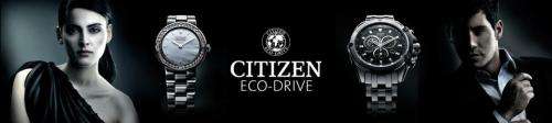 Authentic CITIZEN Eco Drive Brown Leather Ladies Watch