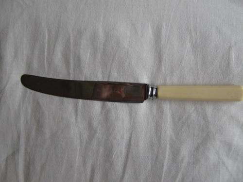 Bone Handle Knives