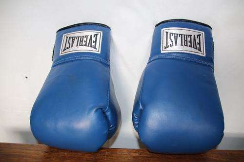 Everlast Boxing Gloves Size 14