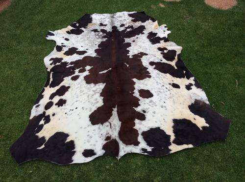 Nguni Cow Hide