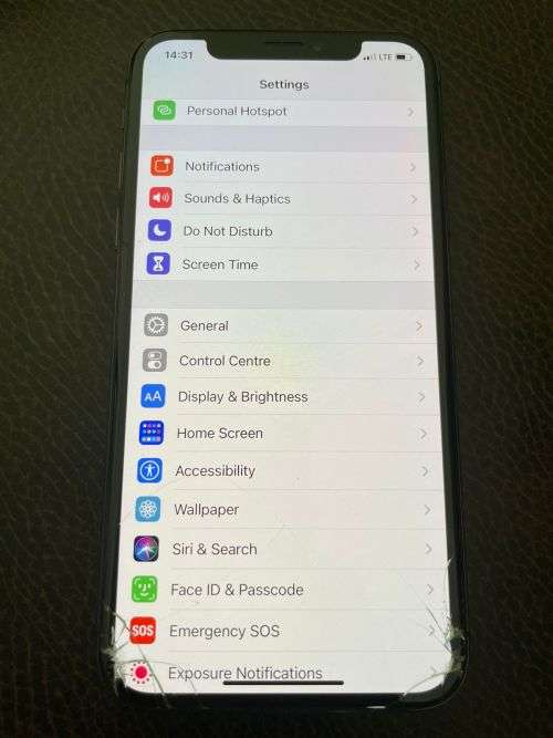 Apple iPhone X