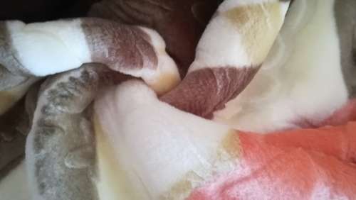 Luxury Mink Embossed Double Blanket Petal