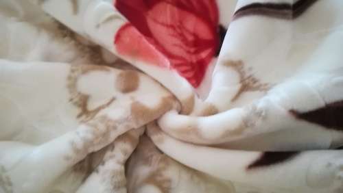 Luxury Mink Embossed Double Blanket Petal