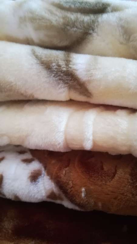 Luxury Mink Embossed Double Blanket Petal