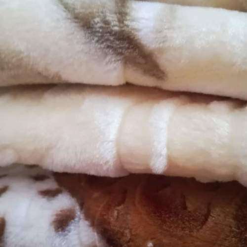 Luxury Assorted A Mink Embossed Double Blanket Petal