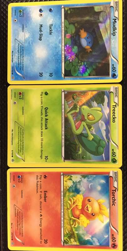 Pokemon TCG: Mudkip Torchic Treecko HOLO Promo Pokemon Cards