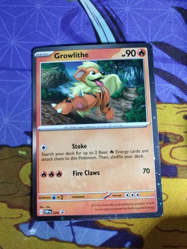 Pokemon Trading Card Game - Growlithe #24 Promo holo - English