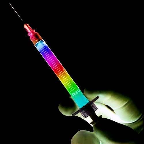 10ml Panaeolus cyanescens (Copelandia) Mushroom Spore Syringe