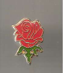 BOWLING FEDERATION BADGE